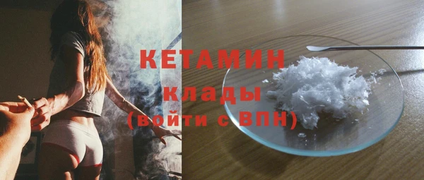 ГАЛЛЮЦИНОГЕННЫЕ ГРИБЫ Козловка