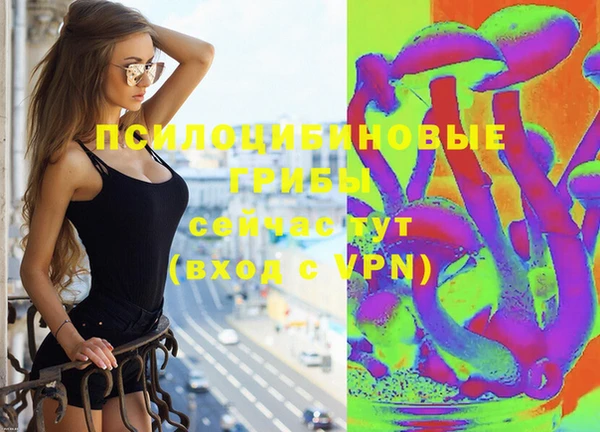 ГАЛЛЮЦИНОГЕННЫЕ ГРИБЫ Козловка