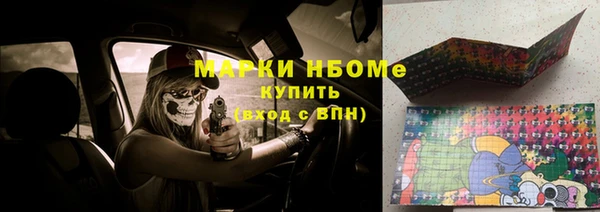 крисы Козельск
