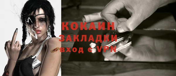 крисы Козельск