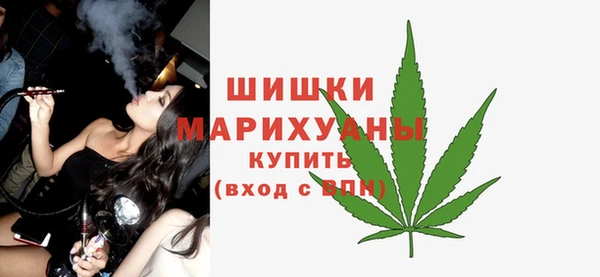 ГАЛЛЮЦИНОГЕННЫЕ ГРИБЫ Козловка