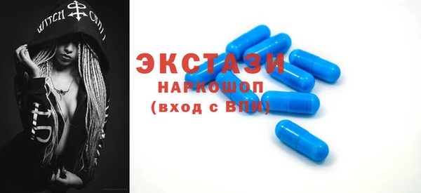 крисы Козельск