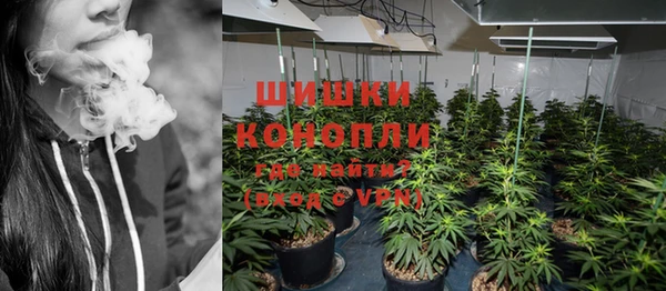 ГАЛЛЮЦИНОГЕННЫЕ ГРИБЫ Козловка
