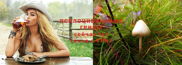 крисы Козельск
