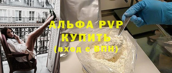 крисы Козельск