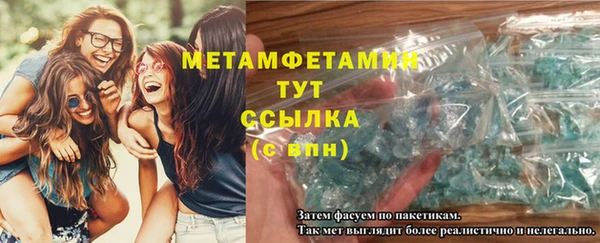 ГАЛЛЮЦИНОГЕННЫЕ ГРИБЫ Козловка