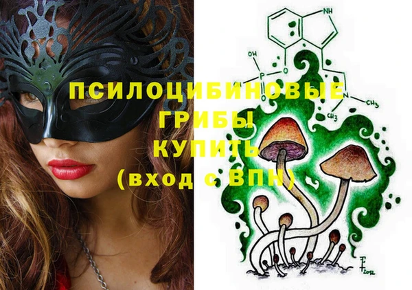 крисы Козельск