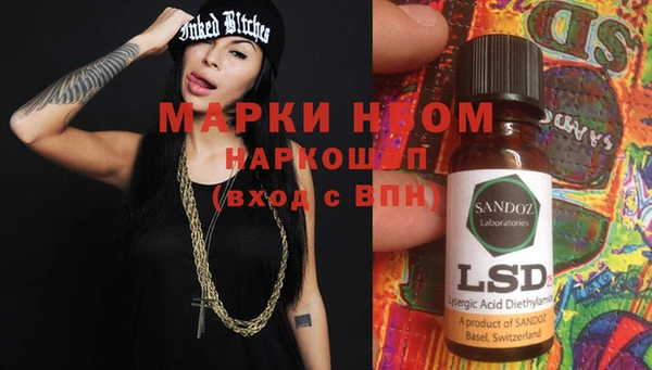 крисы Козельск