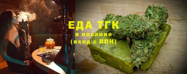ГАЛЛЮЦИНОГЕННЫЕ ГРИБЫ Козловка