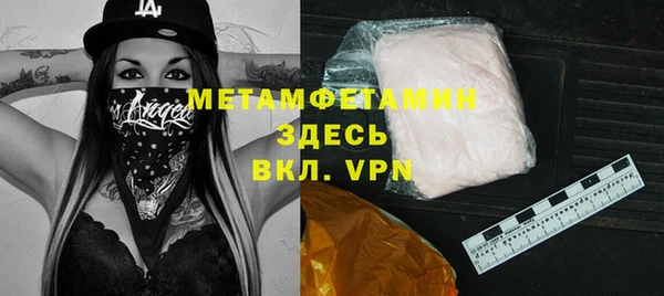 ГАЛЛЮЦИНОГЕННЫЕ ГРИБЫ Козловка