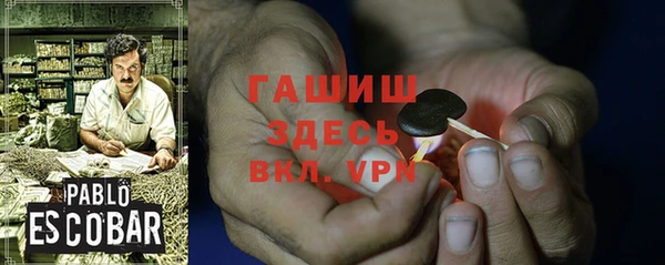 ГАЛЛЮЦИНОГЕННЫЕ ГРИБЫ Козловка